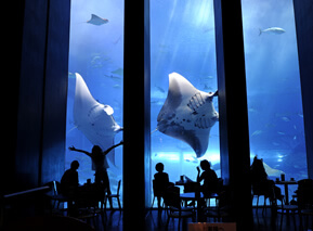 aquarium_04