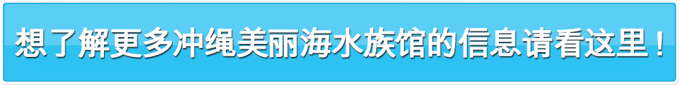 沖縄美ら海水族館をもっと知りたい方はコチラ！