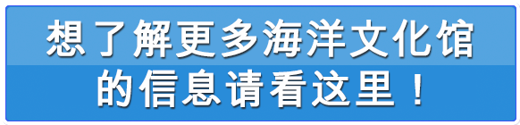 海洋文化館をもっと知りたい方はコチラ！