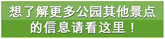 他のエリアをもっと知りたい方はコチラ！