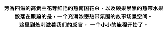 甘い香りを放ちながら気高く咲き誇るランや鮮やかな南国の花々、そして、たわわに実る熱帯果実・・・眼の前に広がるのは、濃密な熱帯の気配に満ちた物語のワンシーンのような空間。<br>ここから五感を刺激する。小さな旅が始まります。