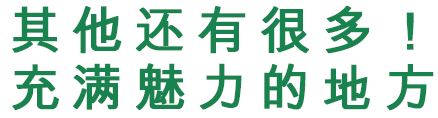 他にもたくさん！魅力溢れるエリア